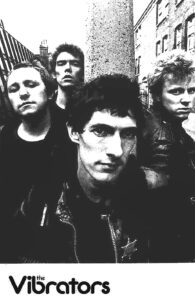 Vibrators (The) for web page